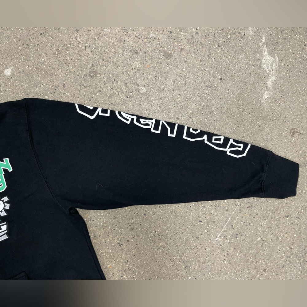 Green Day Celebrating 30 years of Kerplunk Hoodie size Medium - Picture 7 of 10